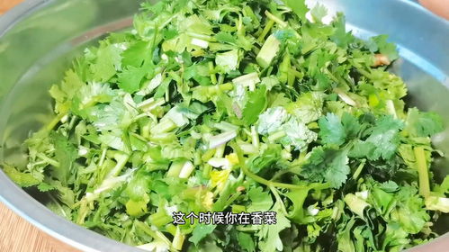 香菜美味升级秘籍：解锁最佳烹饪方法！ 1