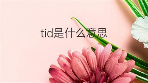 请问'tidy'这个单词的具体含义是什么？ 3