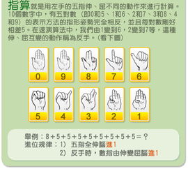 掌握史丰收速算法：轻松学会一位数加法指算技巧 3