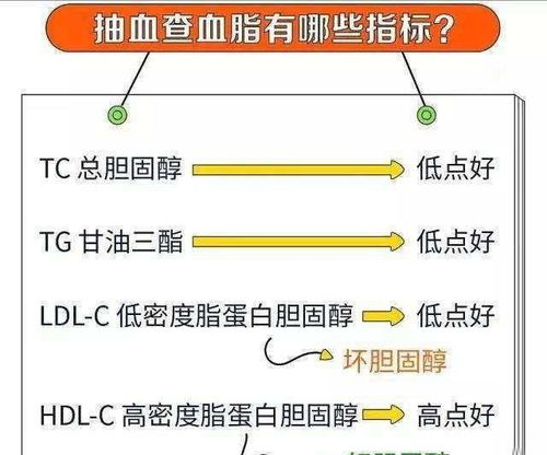 如何区分脂和酯？ 1