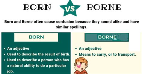 你知道'born'这个词背后的故事与用法奥秘吗？点进来看详细讲解视频！ 1