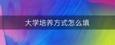 大学生培养方式的创新与实践探索 1