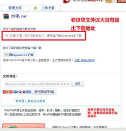 轻松掌握：用下载软件下载Rayfile文件（HTTP协议全攻略） 3