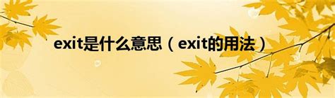 请问'exit'这个词的具体含义是什么？ 5