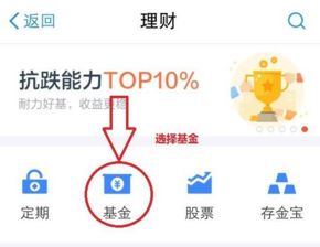 轻松上手：支付宝基金定投全攻略 2