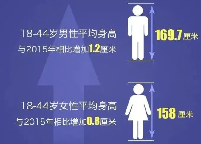 中国男女平均身高