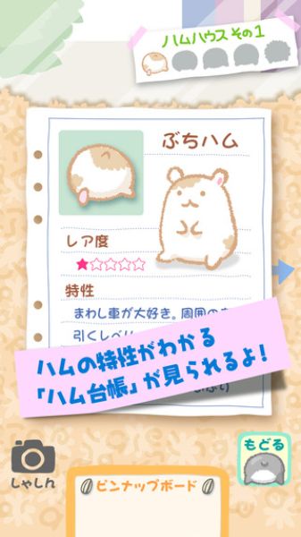 仓鼠屁屁大师(ハムケツ)