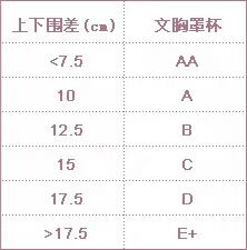 全面解析：罩杯尺码分类与选择指南 1