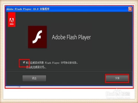 掌握Adobe Flash Player的高效使用技巧 3