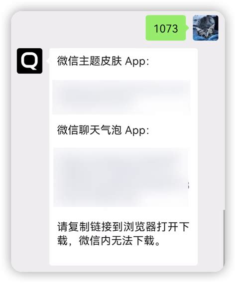 如何更改微信皮肤与主题 5