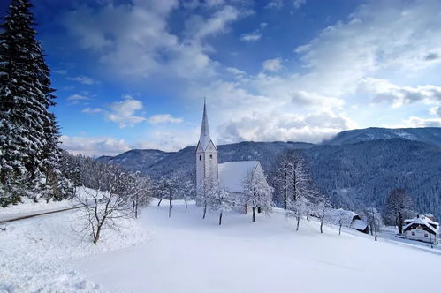 雪景拍摄秘籍：定格冬日仙境的绝妙技巧 1