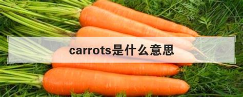 揭秘！'Carrot'这个词的真正含义是什么？ 1