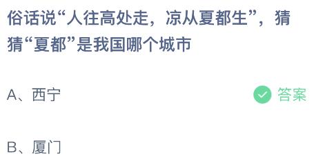 探秘夏都秘境：'人往高处走，清凉自夏都生'的避暑天堂 3