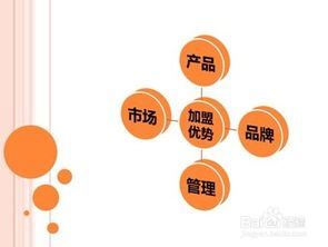 掌握高效网络推广策略，轻松提升品牌曝光度 1