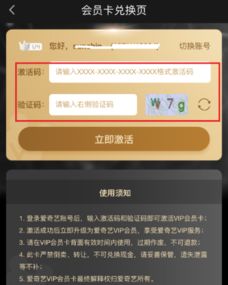 如何轻松在爱奇艺上使用激活码 2