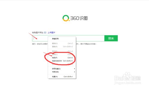 掌握网上以图搜图的神奇技巧：轻松实现以图识图 4