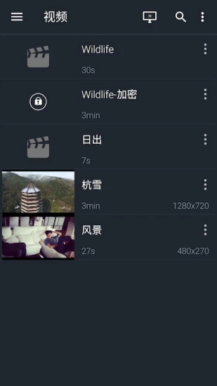 金狮播放器app