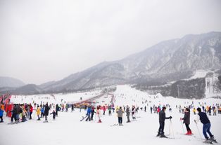 西岭雪山滑雪该怎么玩？ 3