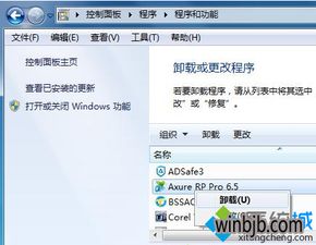 Win10用户必看！轻松学会卸载顽固流氓软件的绝招 2