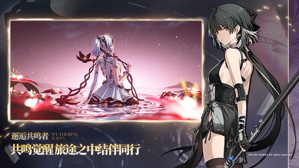 鸣潮官方版