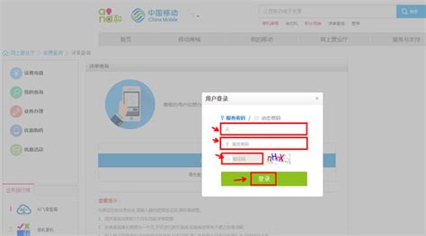 如何在网上轻松自助查询移动手机号通话详单 2