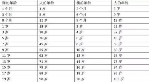 精准计算周岁年龄的正确公式是什么？ 2