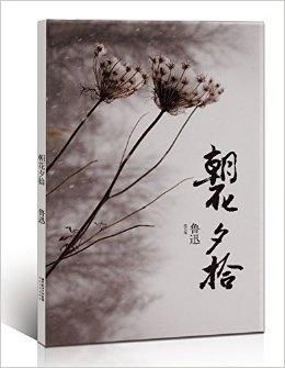 《朝花夕拾》：窥探鲁迅心灵深处的温情与批判交织的情感世界 2