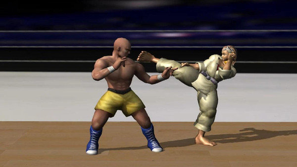 泰拳高手争霸正式版