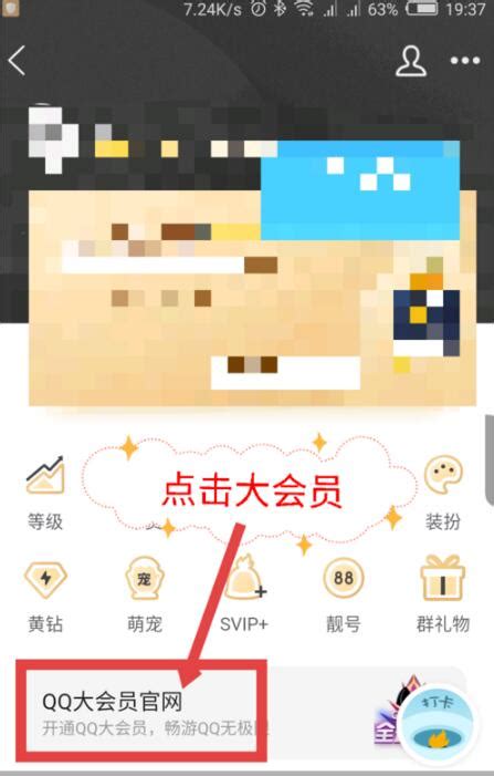 如何为QQ好友代开通QQ会员服务 1