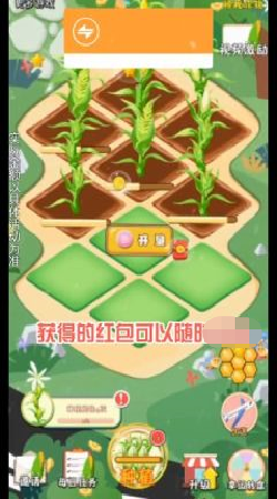 丰收大麦田红包版