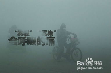 有效应对策略：面对雾霾天气 1