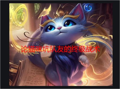 猫咪专属LOL萌系ID精选，让游戏角色更个性吸睛！ 1