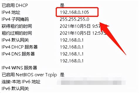 想知道自己的IP地址吗？一键解锁查看方法！ 1