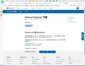 轻松学会：如何下载安装IE浏览器 1