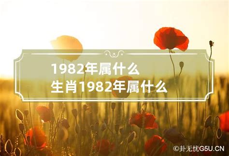 揭秘1982年：探寻那年你的生肖奥秘，看是哪位神兽守护着你？ 1