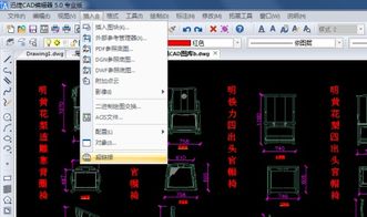 如何在CAD图纸中轻松插入图片？ 2