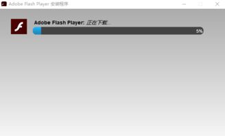 掌握Adobe Flash Player的高效使用技巧 4