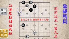 掌握下象棋的必胜技巧 1