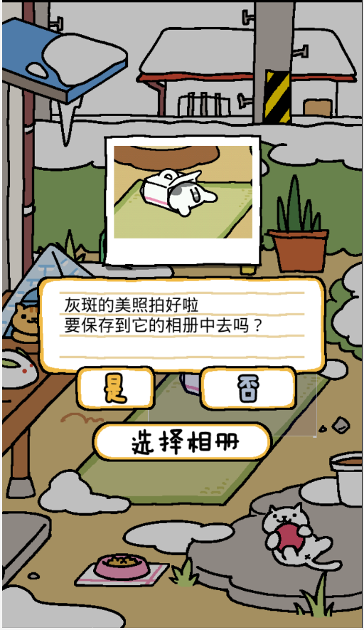 猫咪后院中文版