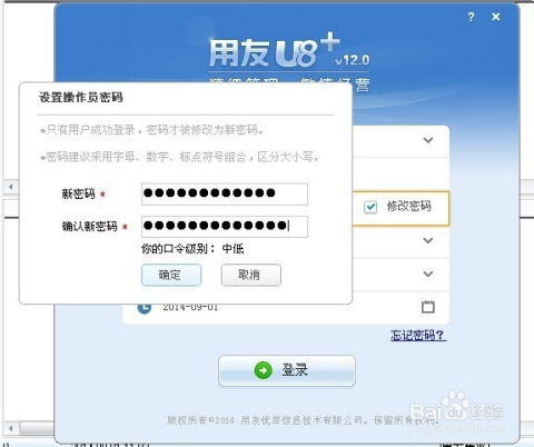 掌握技巧：轻松在用友OA中更改与设置密码 1