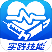 模拟实践技能