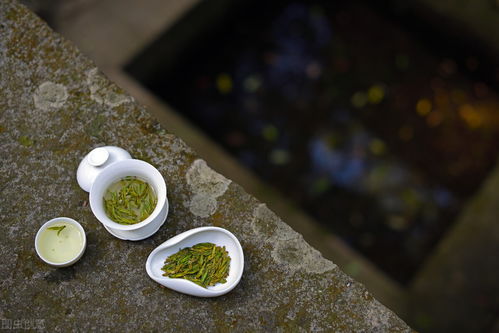 探索龙井茶的完美冲泡艺术 3