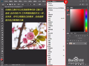 掌握Photoshop CC：零基础入门教程 3