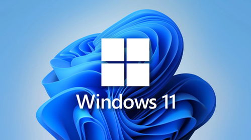 Windows 11如何查看并管理开机启动项 3