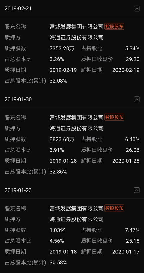 东方财富平台：轻松掌握股权质押查询方法 4