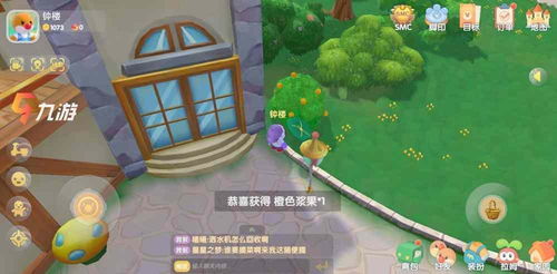 摩尔庄园：揭秘橙色浆果的高效获取攻略 2