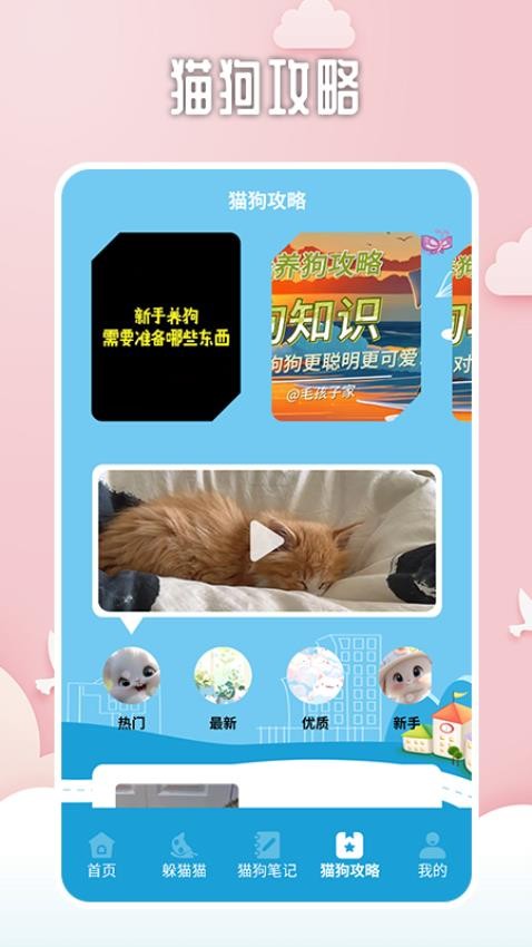 找下猫找下狗官网版