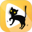 波斯猫影视 v1.1