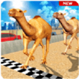 沙漠骆驼模拟器