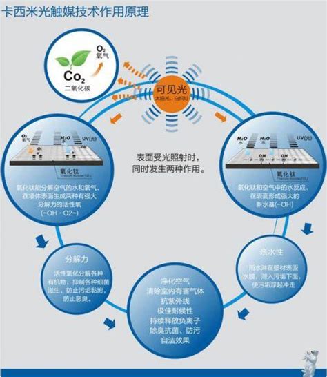 揭秘气触媒：神奇功效大起底 1